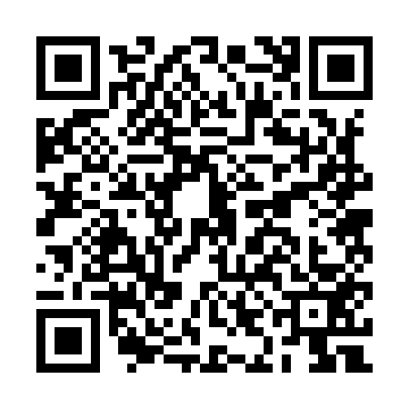 QR code for BIB9536