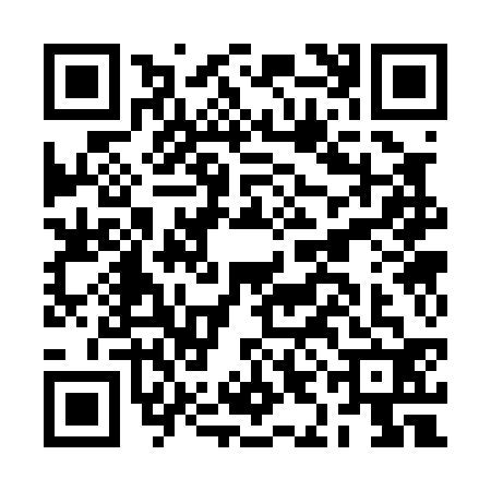 QR code for BIC0328