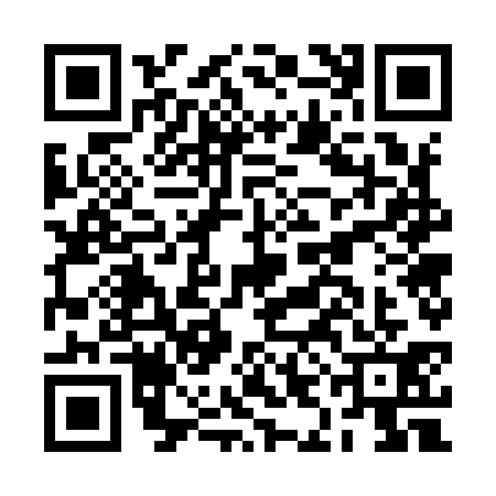 QR code for BIG9313