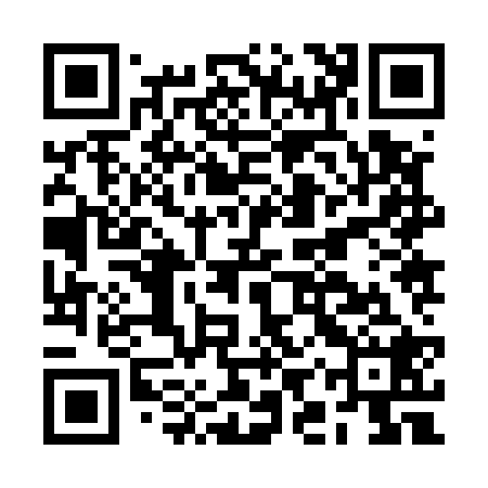 QR code for BIZ528