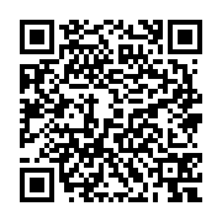 QR code for BLI6741