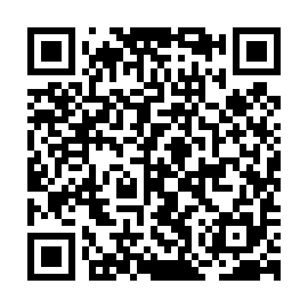 QR code for BOY495