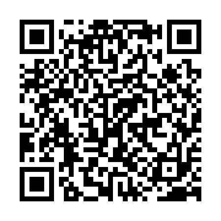 QR code for BQG313