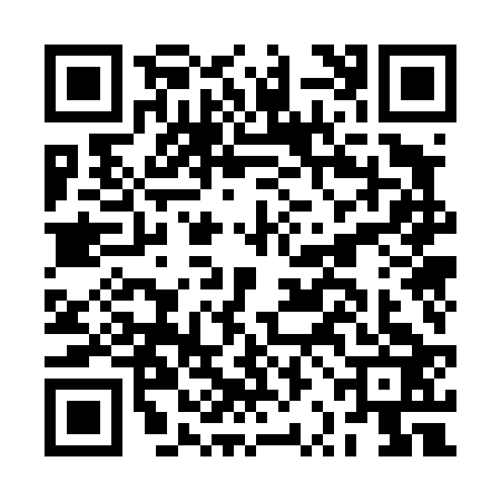 QR code for BRO4233