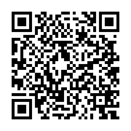 QR code for BRR0699