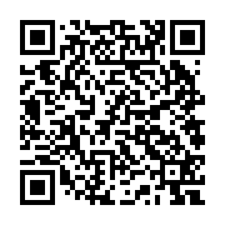 QR code for BSV221
