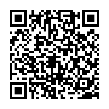 QR code for BTF5384
