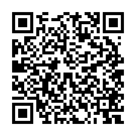 QR code for BUB2493