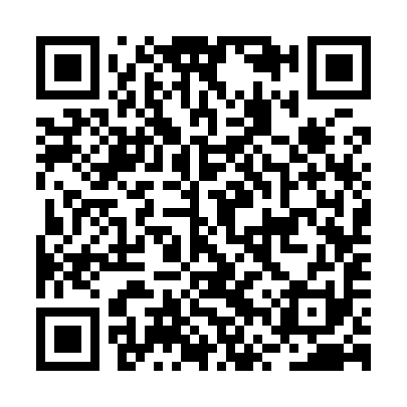 QR code for BVS991