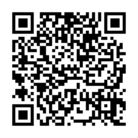 QR code for BVX1341