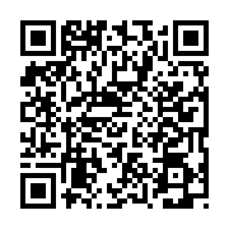 QR code for BZI9741