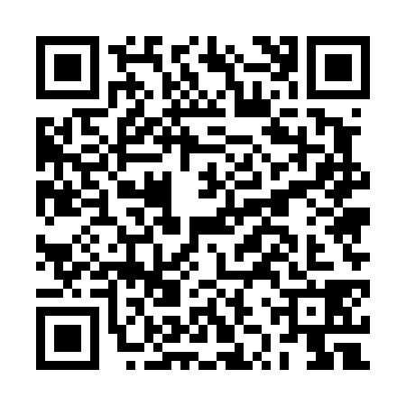 QR code for BZU4381