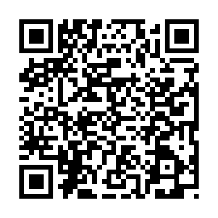 QR code for CAI1272