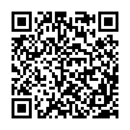 QR code for CAP296