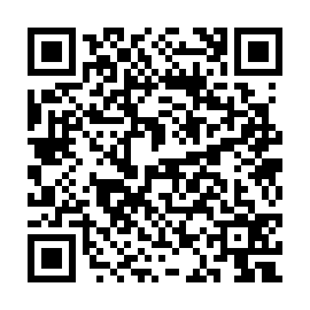 QR code for CAS3369