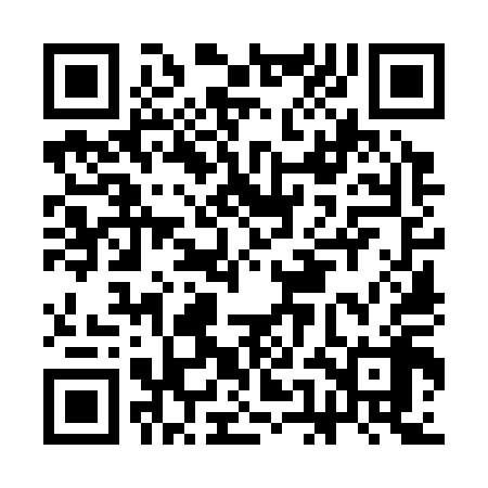 QR code for CEO318