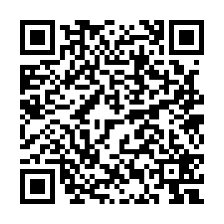 QR code for CES1293