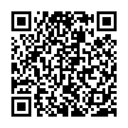 QR code for CGU411