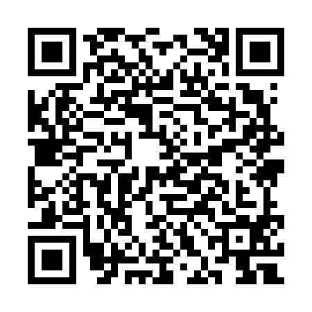 QR code for CHI6943