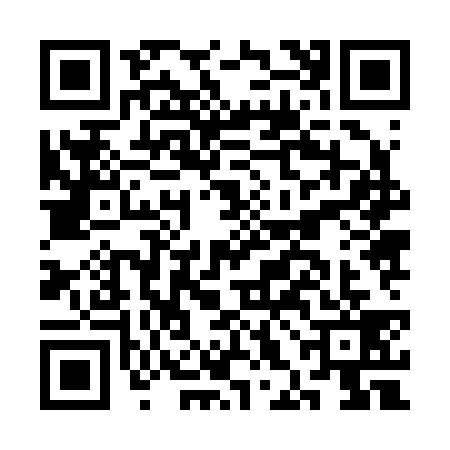 QR code for CHJ2390