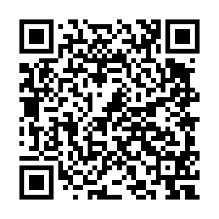 QR code for CHM494