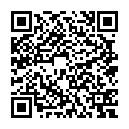 QR code for CHQ0316