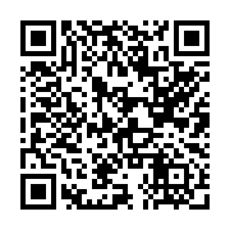 QR code for CHR291