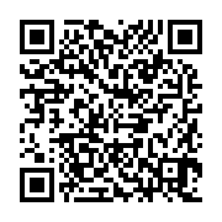 QR code for CHZ980