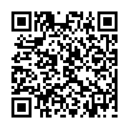 QR code for CIG300