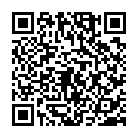 QR code for CMN7386