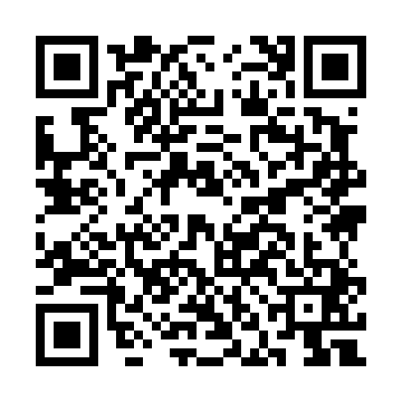 QR code for CNI4411