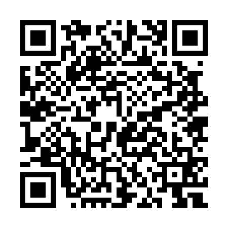 QR code for CNZ0619