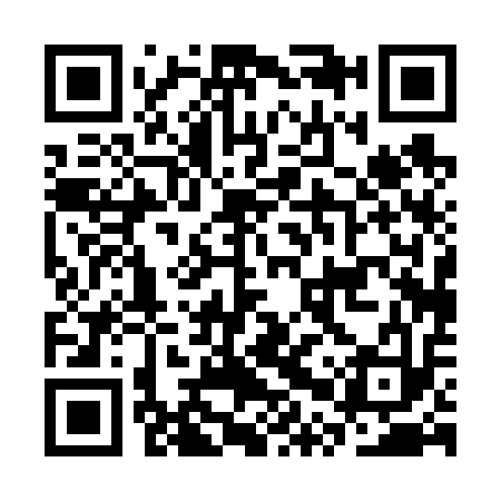 QR code for CPP613