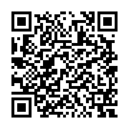 QR code for CXS0943