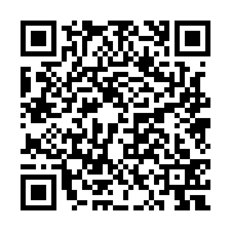 QR code for CYP1335