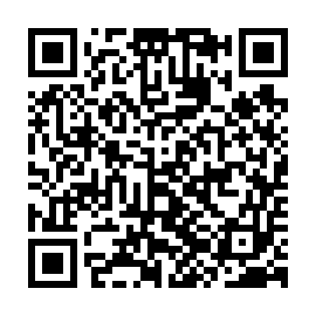 QR code for CZC653