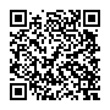 QR code for CZP447