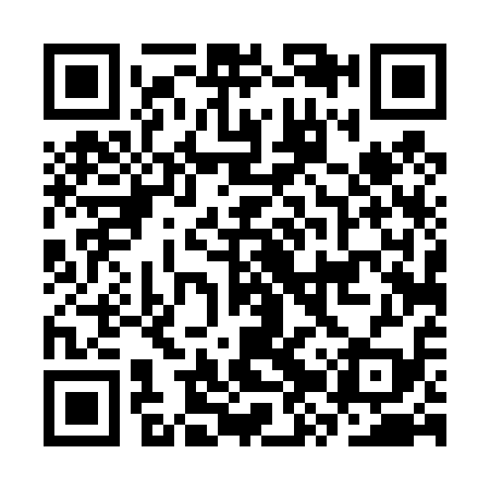 QR code for CZT419