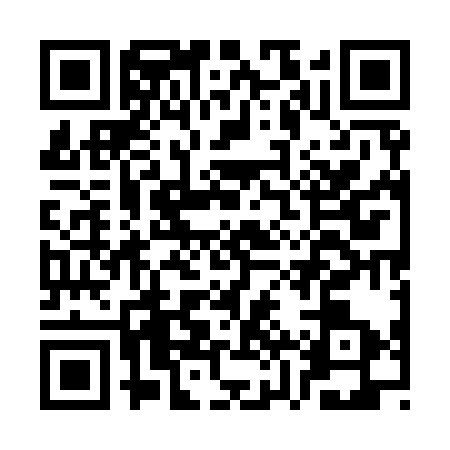 QR code for CZU9339