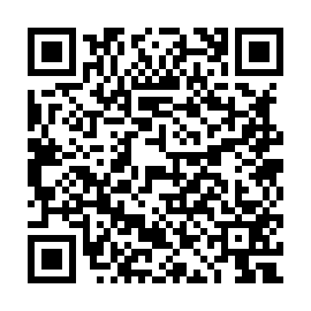 QR code for DAC8538