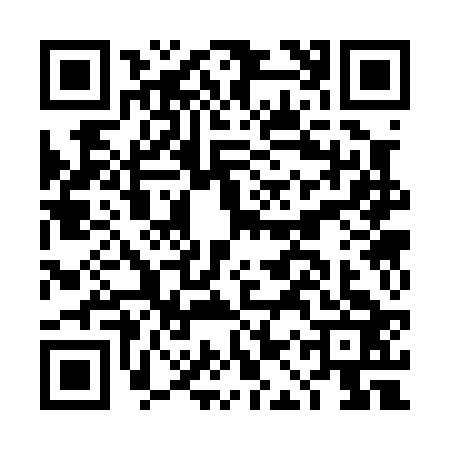 QR code for DAS0234