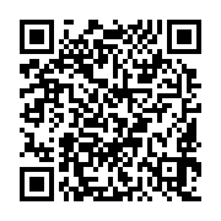 QR code for DBM393