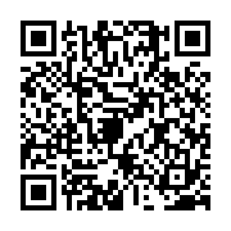 QR code for DDQ8338