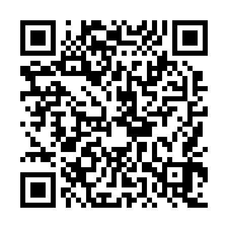 QR code for DEX243