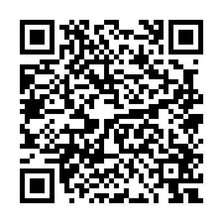 QR code for DFA0460