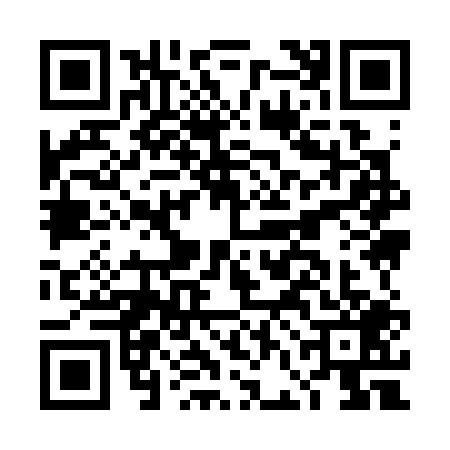 QR code for DFI3099