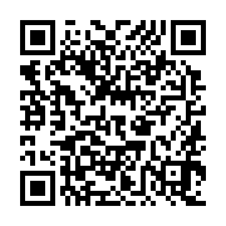 QR code for DFK390