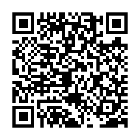 QR code for DFS6489
