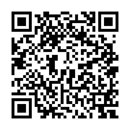 QR code for DGQ3919