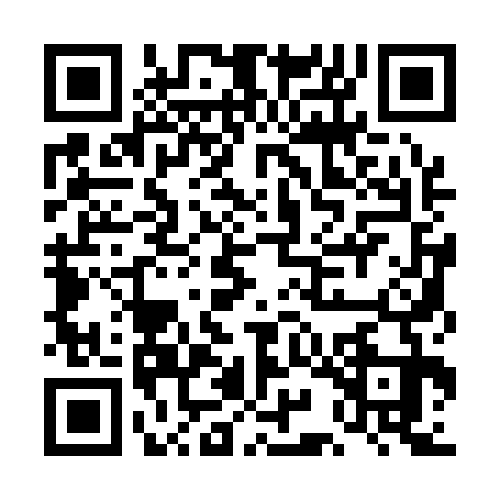 QR code for DIA1333